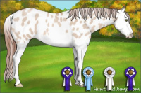 Horse Color:Amber Champagne Roan Dun Splash Near Leopard 