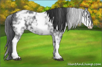 Horse Color:White Spotted Black Ice 