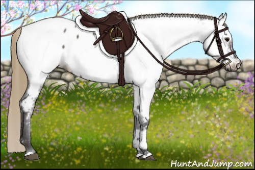 Horse Color:Smoky Grullo Near Fewspot 