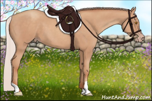 Horse Color:Silver Classic Champagne 