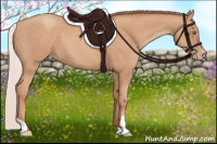 Horse Color:Silver Classic Champagne 