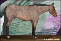 Horse Color:Bay Roan 