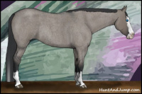 Horse Color:Grullo Roan Splash Rabicano 