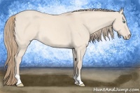 Horse Color:Perlino Dun