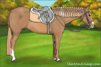 Horse Color:Chestnut Splash Tobiano