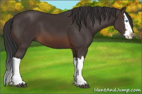 Horse Color:Brown Splash 
