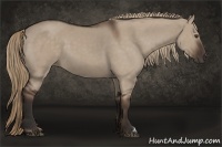 Horse Color:Liver Red Dun 