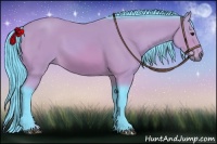 Horse Color:Watercolor Bay 