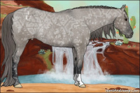 Horse Color:Grullo Ice Appaloosa Rabicano 