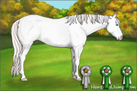 Horse Color:White Spotted Perlino Dun 