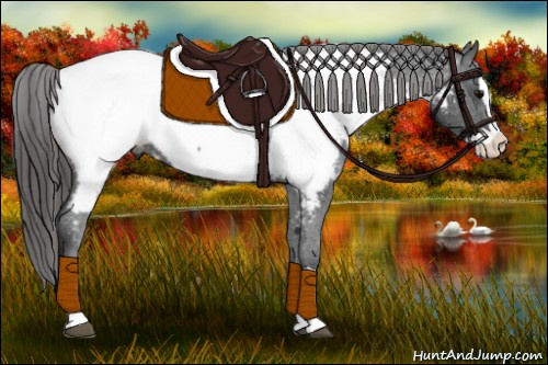 Horse Color: Brown Splash Near Fewspot 