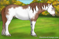 Horse Color:Liver Red Roan Splash Frame 