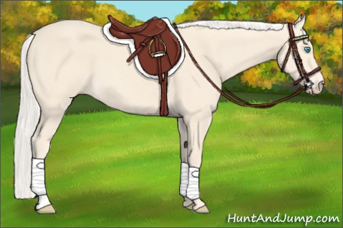 Horse Color: Cremello 