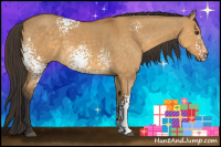 Horse Color:White Spotted Buckskin Dun 