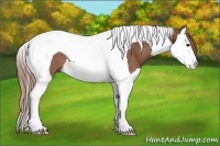 Horse Color:Chestnut Splash Tobiano Rabicano 