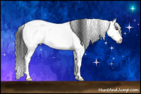 Horse Color:Black Ice Sabino Splash 