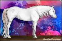 Horse Color:Chestnut Sabino 