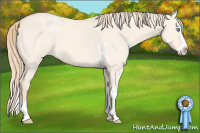 Horse Color:White Spotted Perlino Dun Splash 