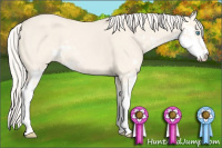 Horse Color:Cremello Dun Sabino 