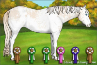 Horse Color:White Spotted Perlino 