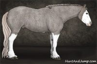 Horse Color:Silver Blue Roan Splash 
