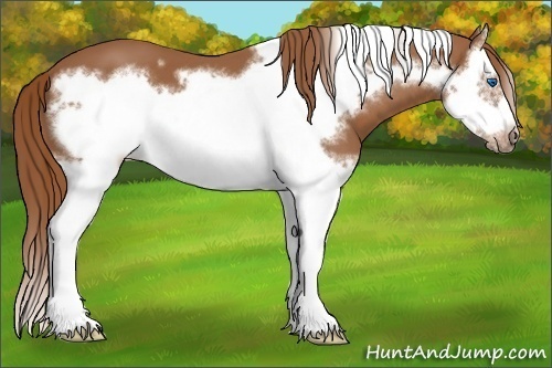 Horse Color:Chestnut Splash Frame 