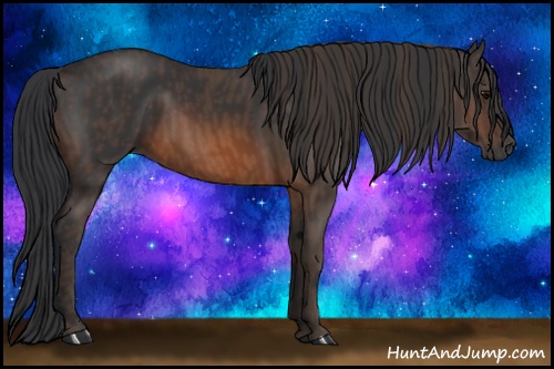 Horse Color: Brown Rabicano  Brindle