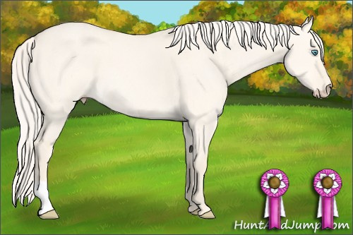Horse Color: Cremello Dun 