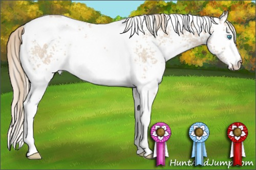 Horse Color: White Spotted Smoky Creme 