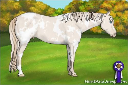 Horse Color: White Spotted Smoky Creme Dun 
