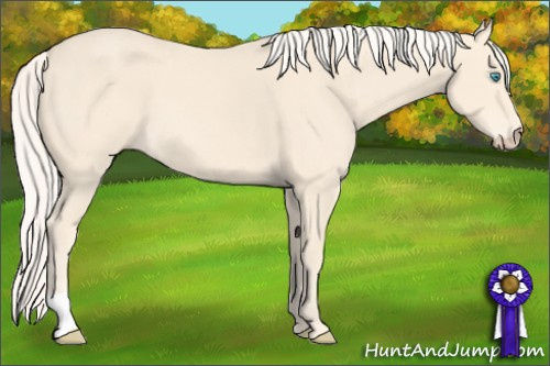 Horse Color: Cremello 