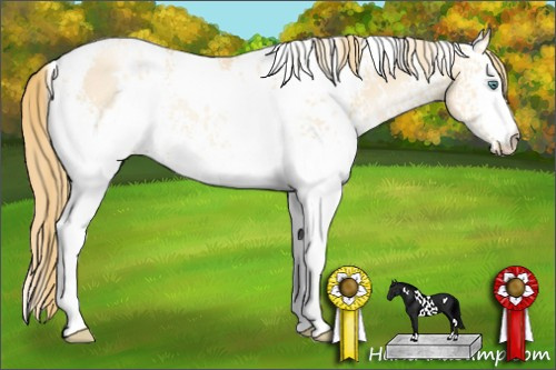 Horse Color: White Spotted Smoky Grullo Pearl 