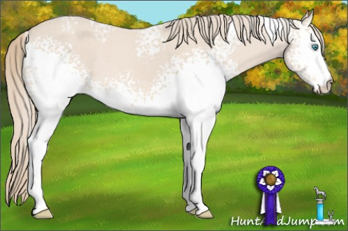 Horse Color: White Spotted Perlino 