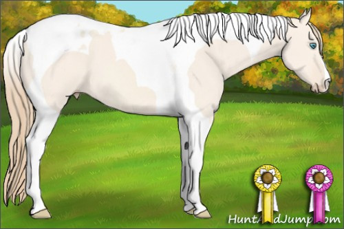 Horse Color: Perlino Dun Tobiano 