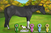 Horse Color:Black Sabino Tobiano Rabicano