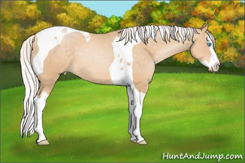 Horse Color: Silver Smoky Black Pearl Splash Tobiano 