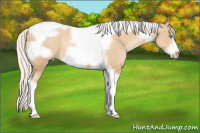 Horse Color:Silver Smoky Black Pearl Tobiano Frame 
