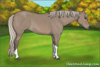 Horse Color:Silver Grullo Tobiano Rabicano 
