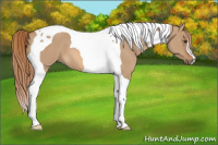 Horse Color:Red Dun Tobiano 