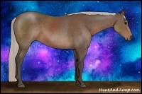 Horse Color:Silver Black Sabino 