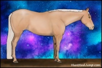 Horse Color:Silver Bay Pearl Sabino 