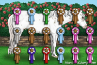 Horse Color:Silver Grullo Sabino 