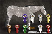 Horse Color:Black Ice Splash Rabicano 