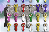 Horse Color:Smoky Grullo Ice