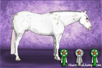 Horse Color:Silver Grullo Sabino 