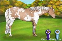 Horse Color:White Spotted Silver Black Pearl