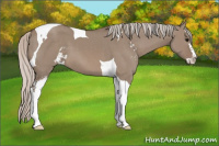 Horse Color:Silver Grullo Sabino Tobiano 