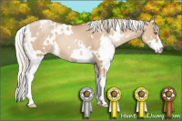 Horse Color:White Spotted Silver Grullo Pearl Sabino 