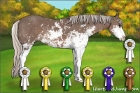 Horse Color:Silver Black Sabino 