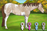 Horse Color:Gray Smoky Black Ice Pearl Sabino Tobiano 